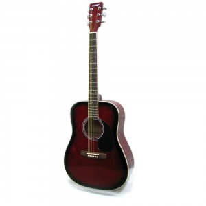 HOMAGE LF-4111-R Акустическая гитара