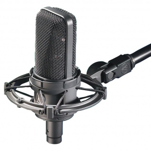 AUDIO-TECHNICA AT4033ASM Студийный микрофон