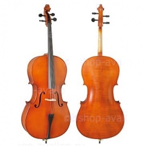 Pierre Cesar C6016 3/4 Популярная студенческая виолончель