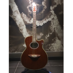 Nature SSR - 402C гитара акустическая 40" , вырез , розетка овал , махогани