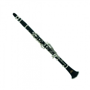 ROY BENSON CB-517 деревянный кларнет Система Бёма