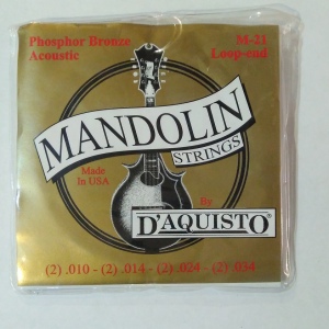 D'Aquisto #M-21 струны для мандолины (0,10-0,34), фосфор-бронза