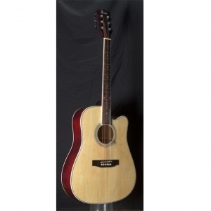 Foix FFG-1041NA Акустическая гитара