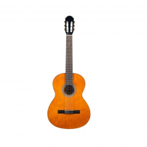 GEWA PS510140742 классическая гитара 3/4