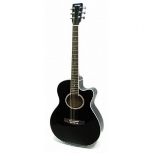 Homage LF-401C-B Акустическая гитара.