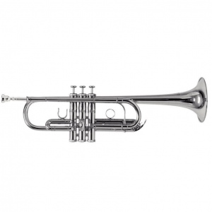 ROY BENSON TR-402CS труба (цвет серебро)