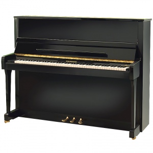 Hoffmann "Vision" V-120  Пианино черное