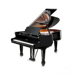 Hoffmann Professional P 206 рояль черный, полированный