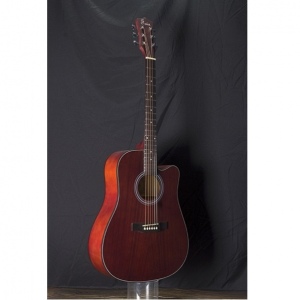 Foix FFG-1041MH Акустическая гитара, с вырезом