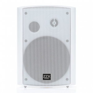 ZTX audio KD-728-6.5 громкоговоритель настенный 40W