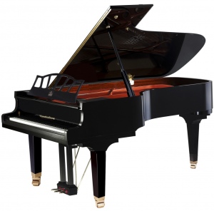 Wendl&Lung W218BK Рояль акустический, черный, 218 см.
