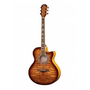 Ramis RA-A01C Акустическая гитара, с вырезом